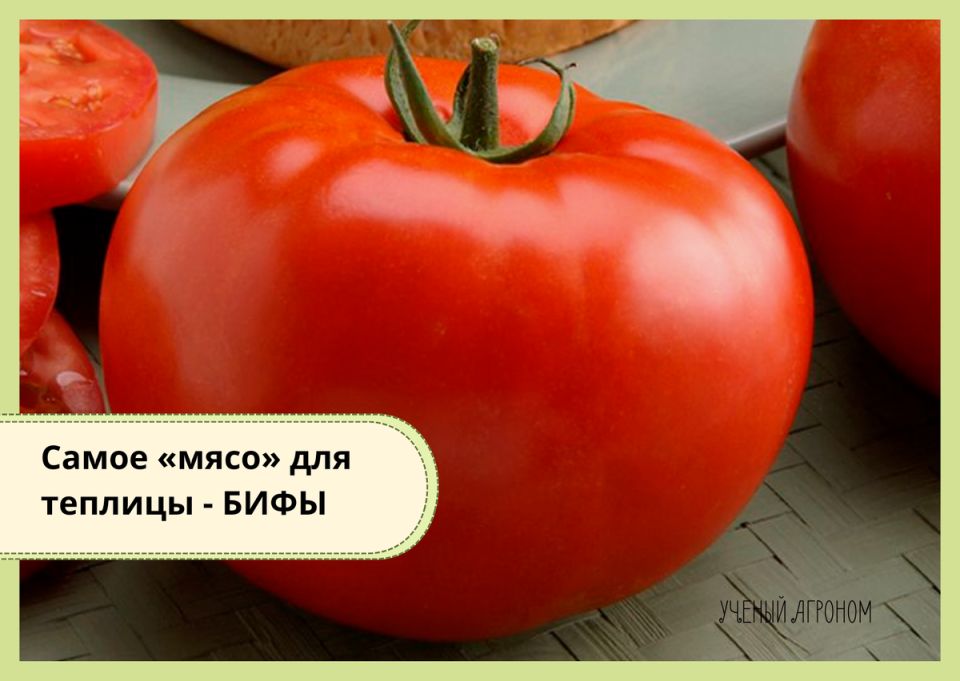 �������� ������ ��� ������: �������� �������� ����� ��� ������ �������