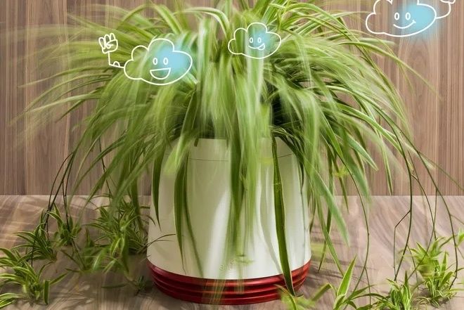 ��������, ������� ��������� ������ � �������� �����