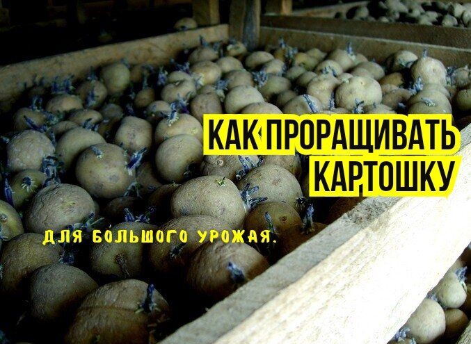 ���� ��� ����: ��� ��������� ����������� �������� ��� ������