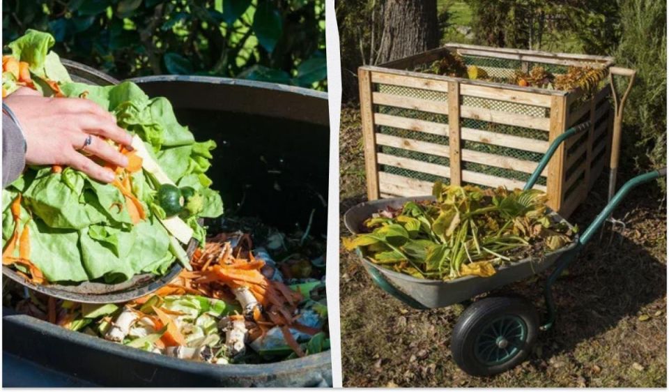 ��� ������ ������ � ������� � ��� �������� ����� ���������