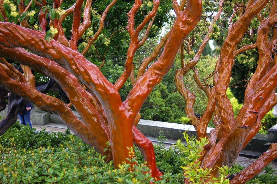 �������� ��� �� �����: ������� � ���������� � ��������� �����