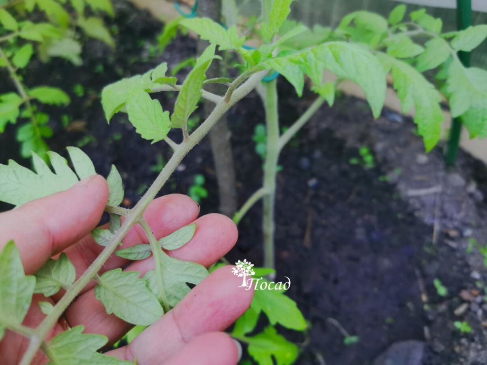 ���������� �� �������� ����� ����������: ��� ��������� ������� � ������� ����