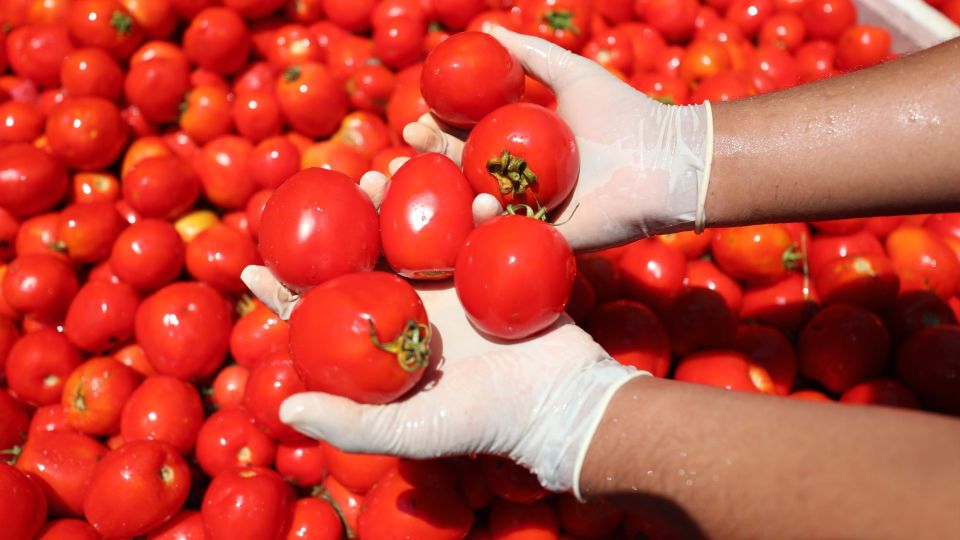 �� ���� ����������� ��������� �������� ������� �������: ��� �������� �������