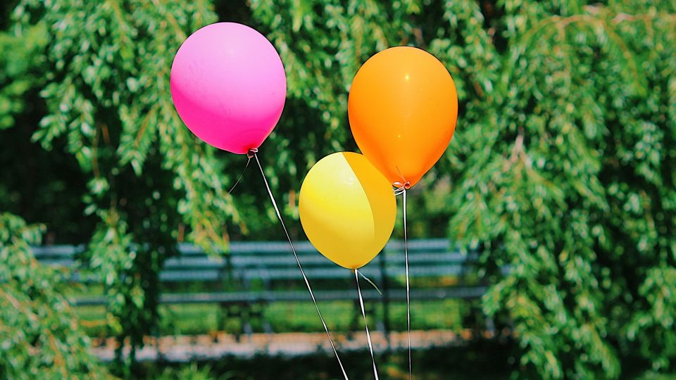 ������� ������� ��������� ���� �������: ���������� �� ������ �� ��� ������