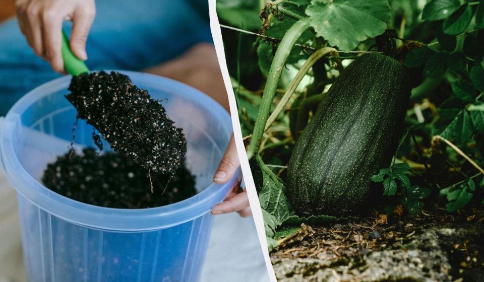 ��������� �������� � ����: ������� ��� �������� ������