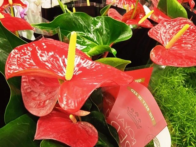 ��������� ����� �� ����������: 7 �������� �������� ��� ������ ��������