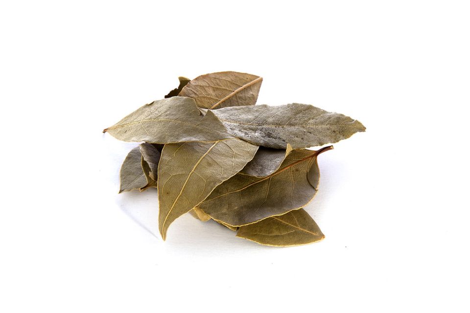 �������� ����: ������� ������������� ���� ��������� ������