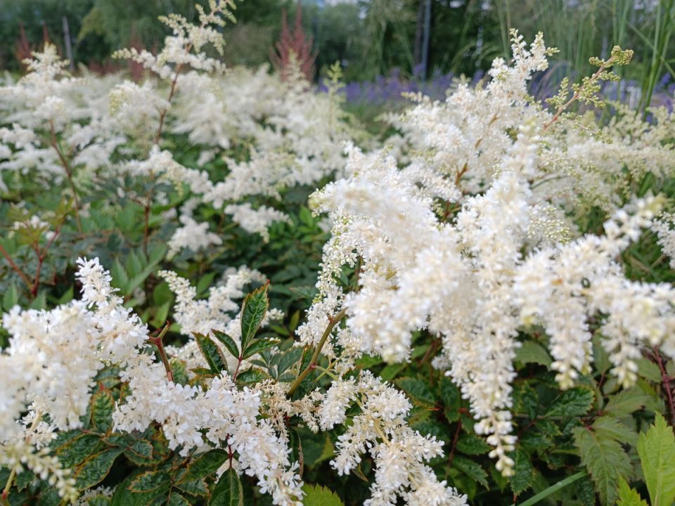 �������� ���: 15 �������� ��� ������ ��������� �������