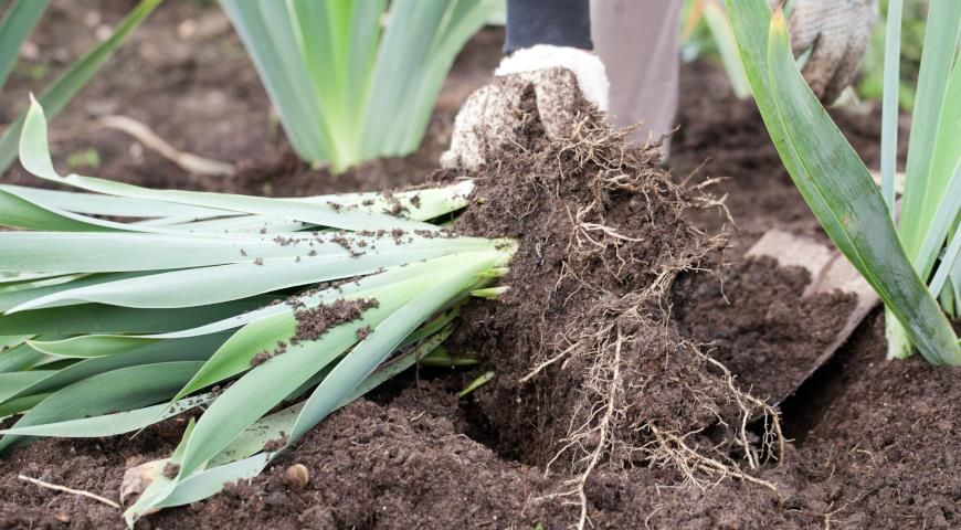 ������� ��������� ������������� ������ � ����