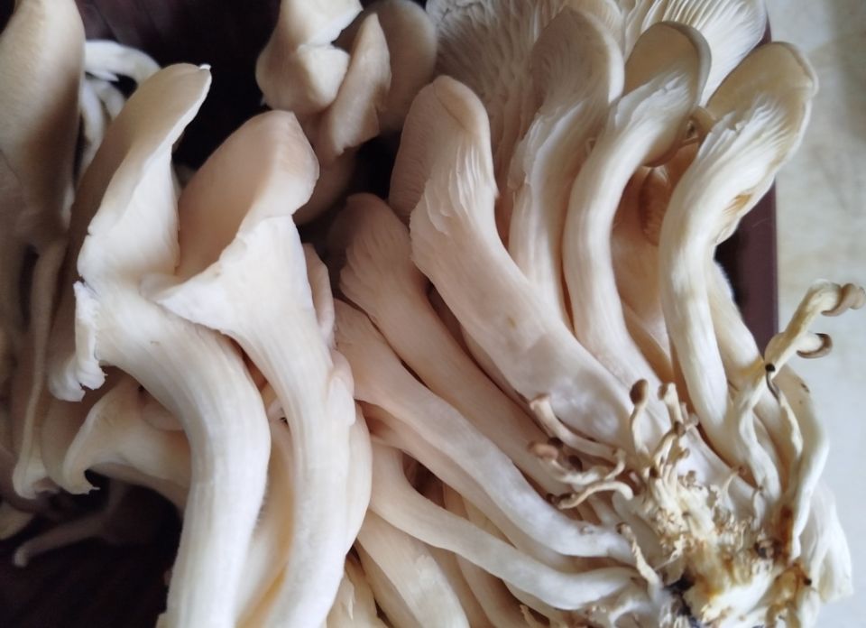 ����������� �������: ��� ���������� ����� � �����