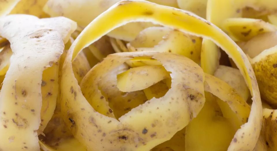 ������������ ��������� ��� �������: ������� ��������� ���������