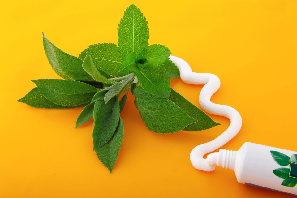 ��� ���, ������ � ���: �� ���� ��������� ������ ����� �� ���� �� �������������