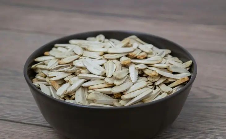 ���� � ������ ��������� �������: ��� �� ��������� ����