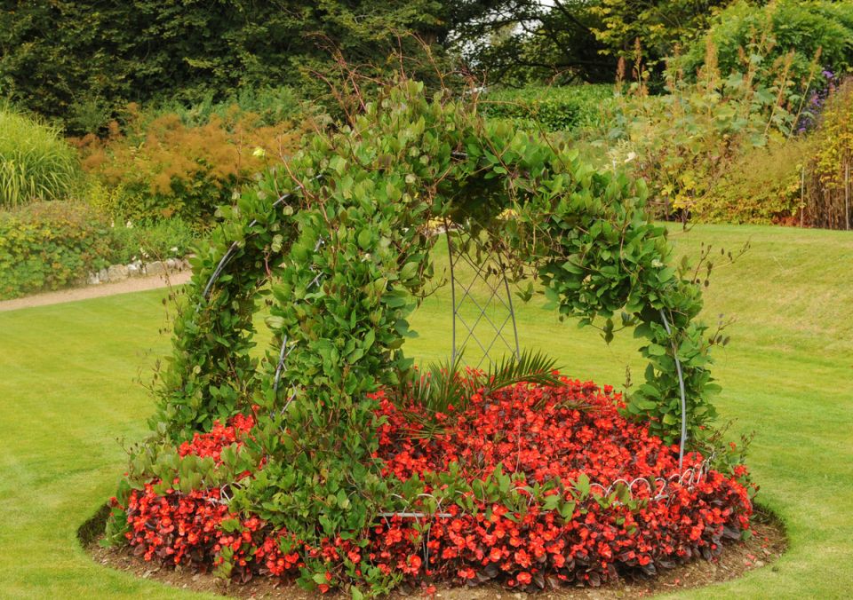 ��� ������� ��������� ����� ��� ����� ��������: ������ � ����