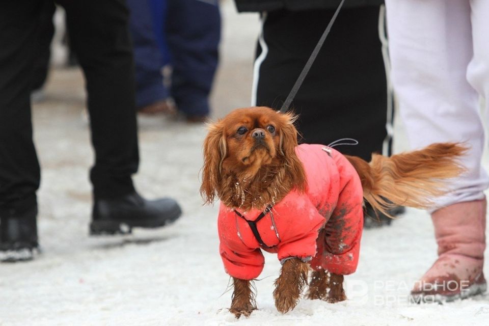 �������� ����� ��������� ������������� �������� � ������