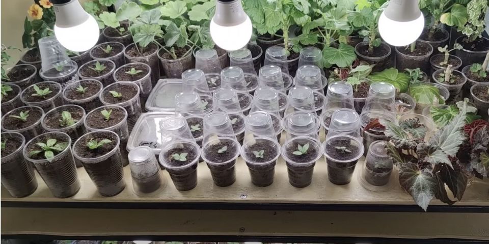 ��� ���������� � ������� ������� � �������: ������ ��� ����������