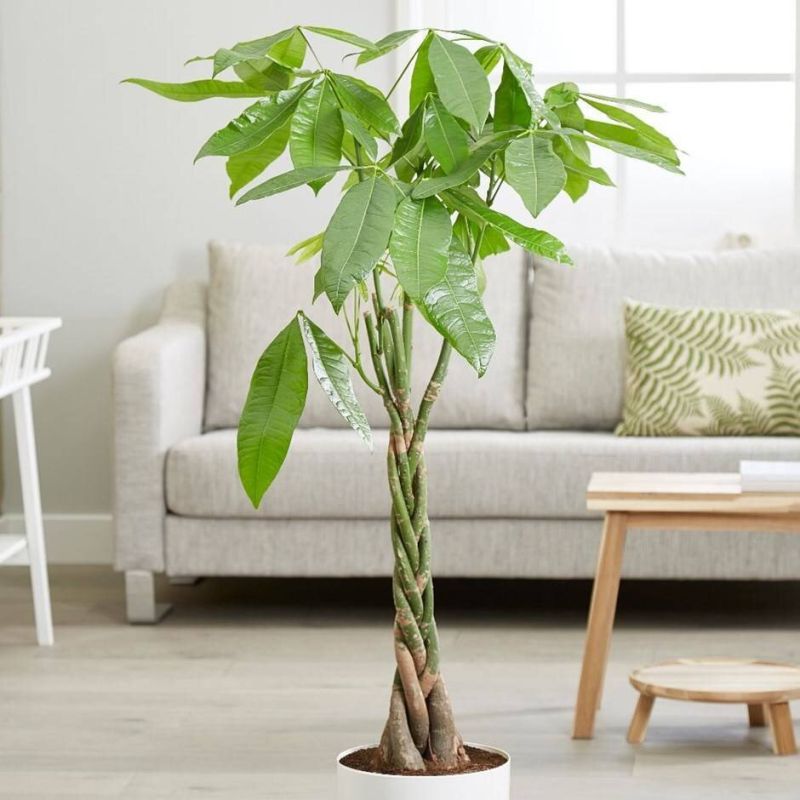 ��� �������� ������ ����� ����� �������� ������������ � ����� � ����� ����