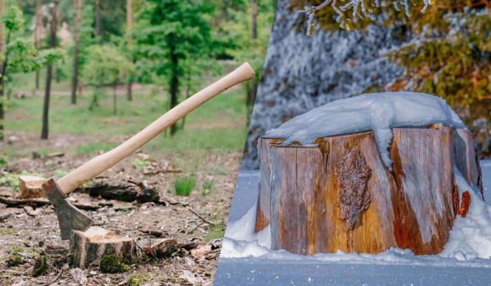 ������ ���� � ����� ���� ����� ����� ����������� ����������