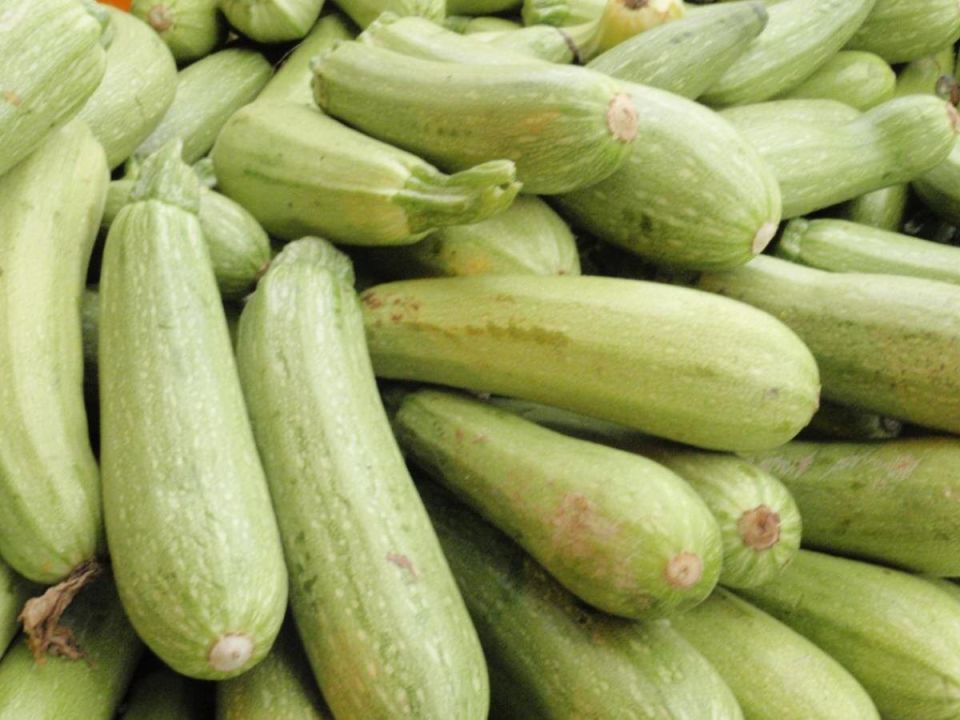 ��� ������� ������� ��� �����: ���-5 ������ ��� ����� �����