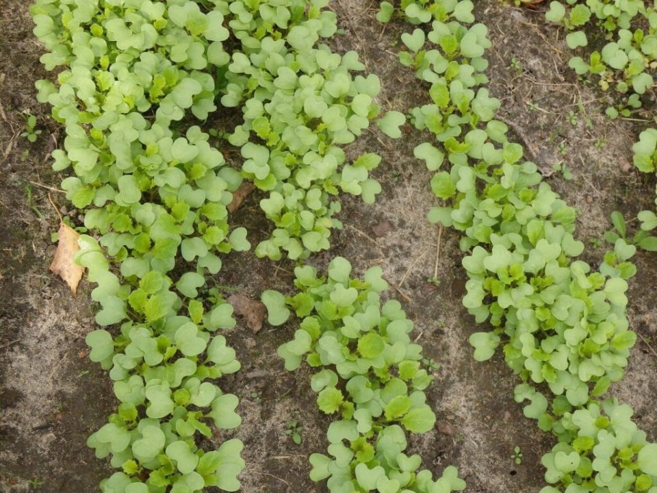 ������ � ���������� ������� ��� �������� ��� ������ �������