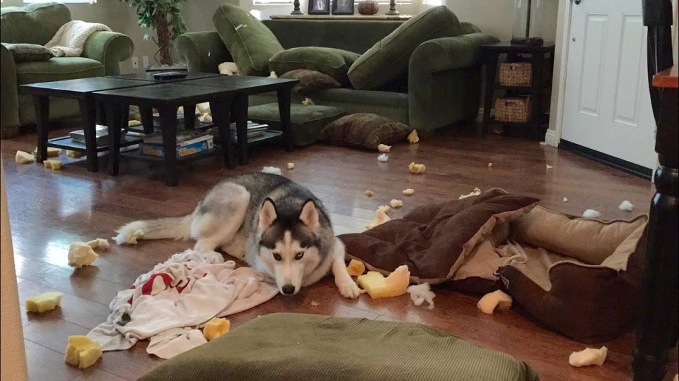 ������ �� �������� ������ ����� ����� ������ ������ �������� ��������