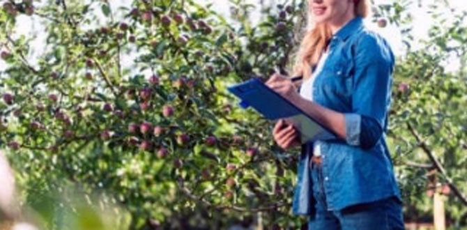 �������� ���������� ������������ ��� ������ ����: ������ � �����