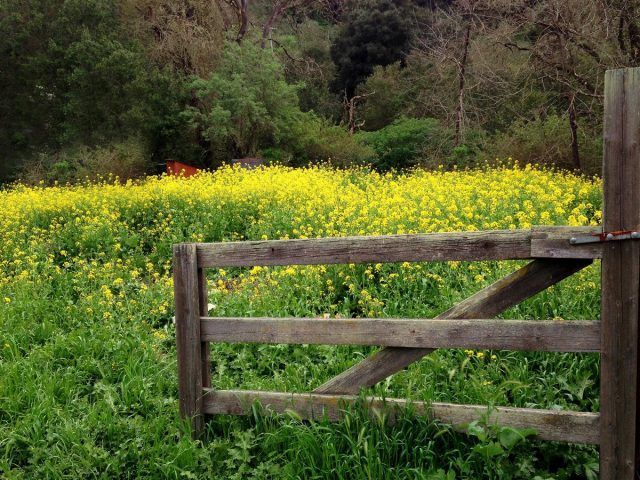 �������� � ��������: ��� �������� ����� � ����������� � � ����