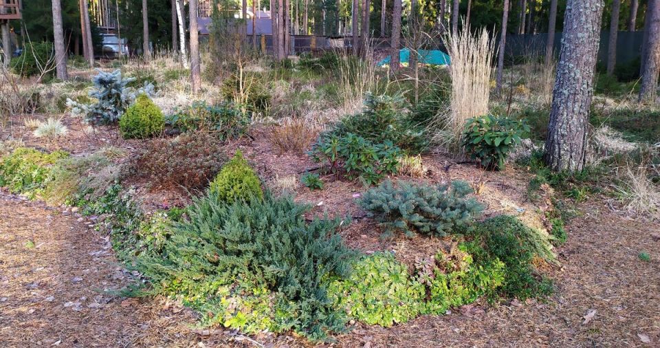 ��� ������� ���� ��� ������� � �����: ����� ������������� ��������