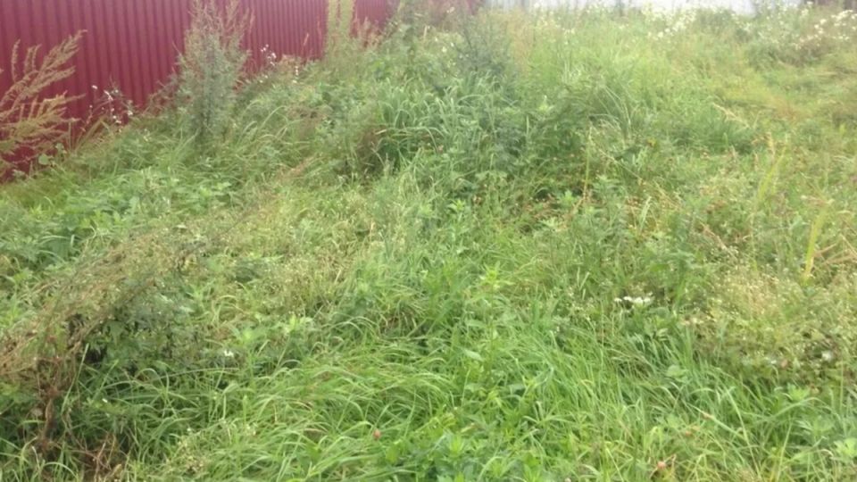 ��� ���������� �� ��������� ����� � ������� ��������� ����� �� ��� ������