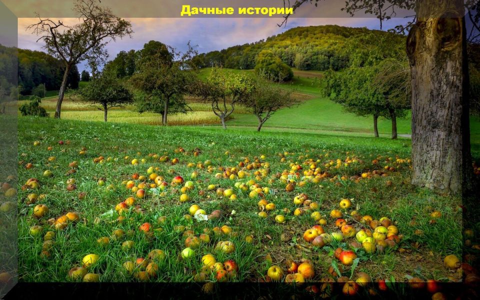 ������: ����� ������ � ����� ������� � ���� � �������