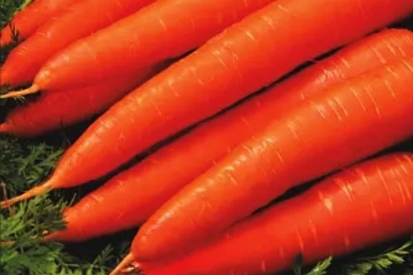 ������� �����: ������� ��������� ����������� � ����������� �����