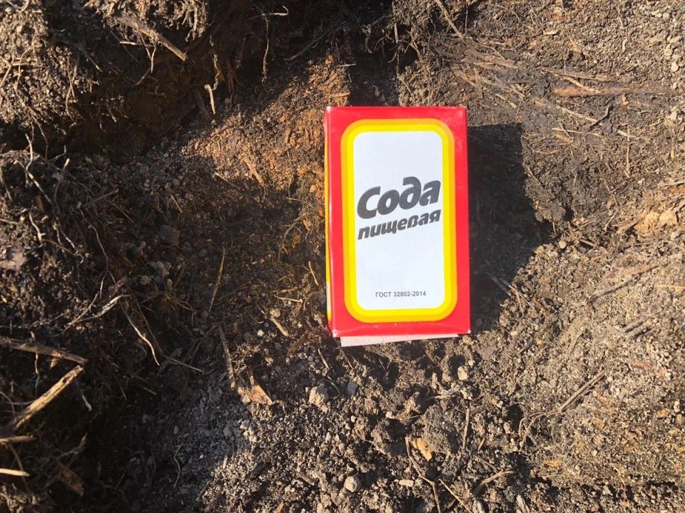 Как сода превращает ваш огород в крепость без химикатов